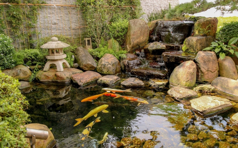 Trang trí hoàn thiện hòn non bộ